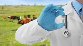 Лут назвала приоритеты мировой ветбезопасности